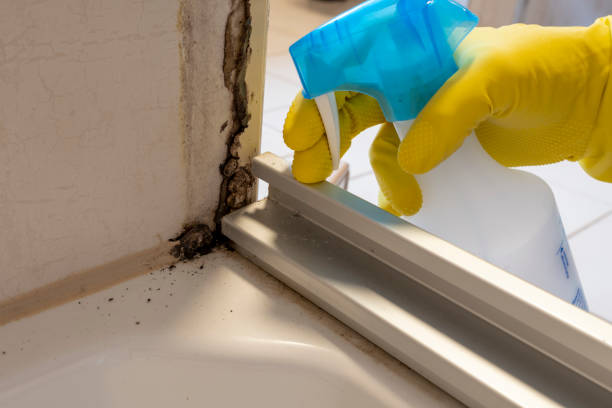 Best Residential Mold Removal  in Falling Water, TN