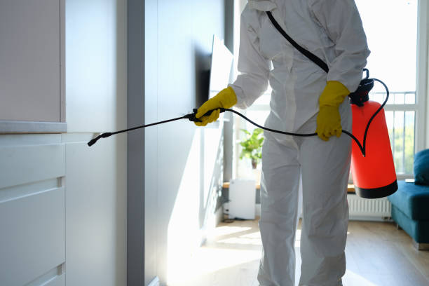 Best Professional Mold Removal  in Falling Water, TN