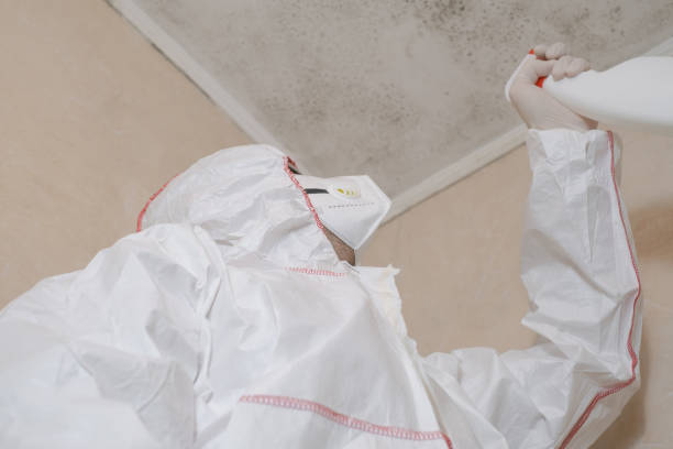 Best Crawl Space Mold Removal  in Falling Water, TN